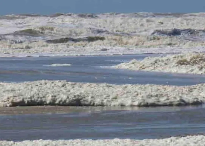 Holiday home Maison De Pecheur A 10 Minutes De La A Pieds *