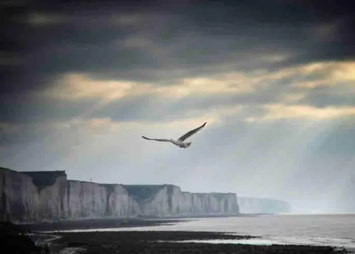 Holiday home Maison De Pecheur A 10 Minutes De La A Pieds *