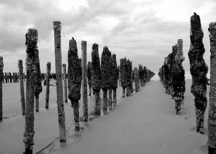 Maison De Pecheur A 10 Minutes De La A Pieds Holiday home